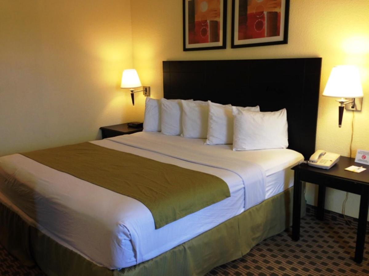 Days Inn by Wyndham Irving Grapevine DFW Airport North - image 3
