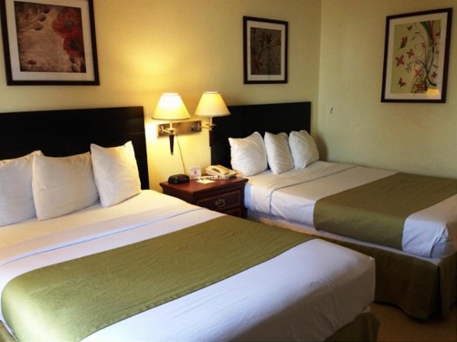 Days Inn by Wyndham Irving Grapevine DFW Airport North - image 4