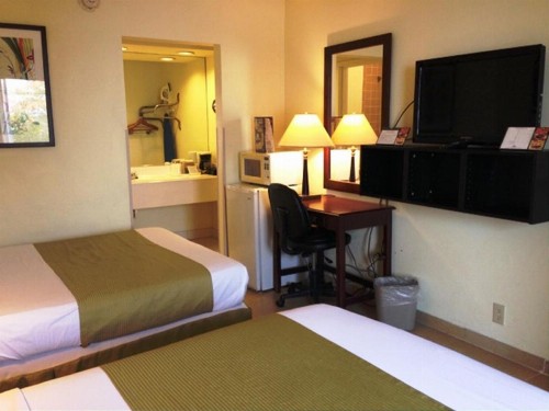 Days Inn by Wyndham Irving Grapevine DFW Airport North - image 5