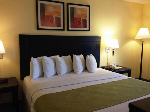 Days Inn by Wyndham Irving Grapevine DFW Airport North - image 9