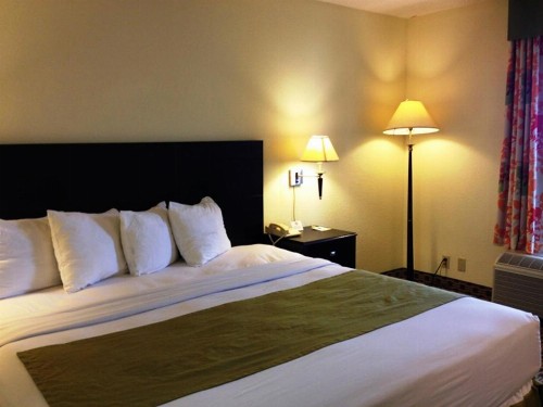 Days Inn by Wyndham Irving Grapevine DFW Airport North - image 15