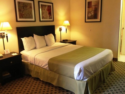 Days Inn by Wyndham Irving Grapevine DFW Airport North - image 16