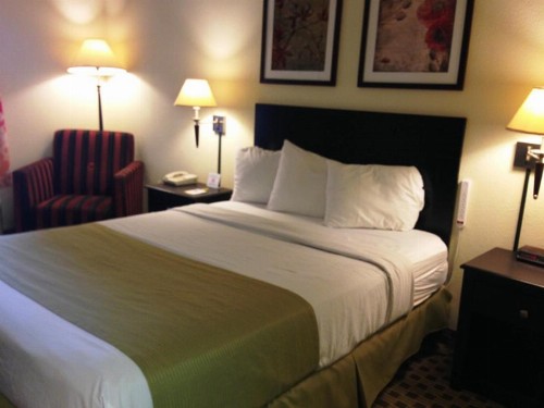 Days Inn by Wyndham Irving Grapevine DFW Airport North - image 17
