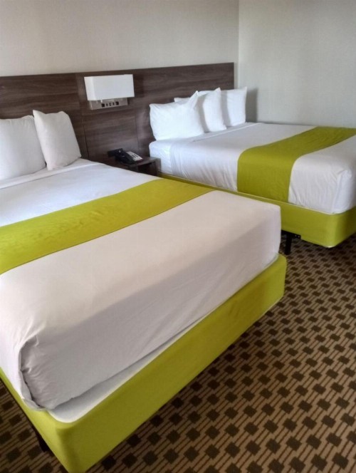 Days Inn by Wyndham Irving Grapevine DFW Airport North - image 20