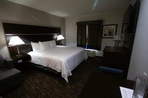 Atrium Hotel and Suites DFW Airport - image 17