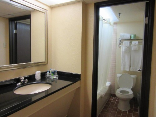 Atrium Hotel and Suites DFW Airport - image 30