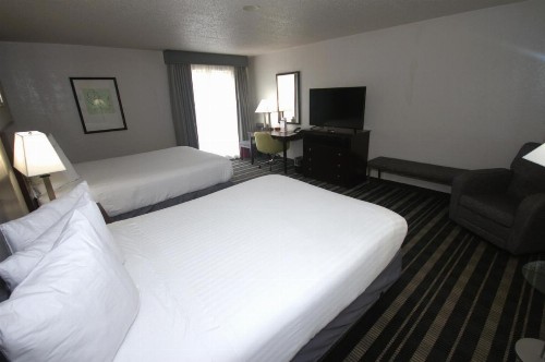 Atrium Hotel and Suites DFW Airport - image 35
