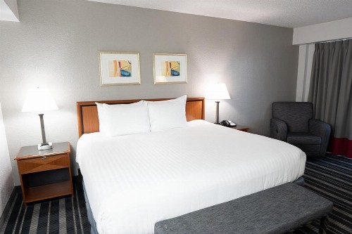 Atrium Hotel and Suites DFW Airport - image 39