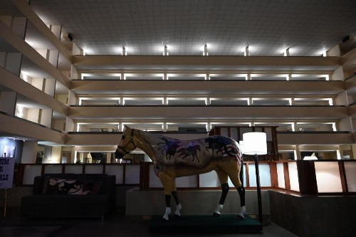 Atrium Hotel and Suites DFW Airport - image 50