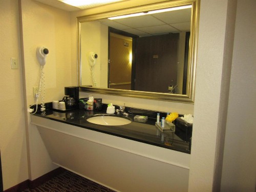 Atrium Hotel and Suites DFW Airport - image 9