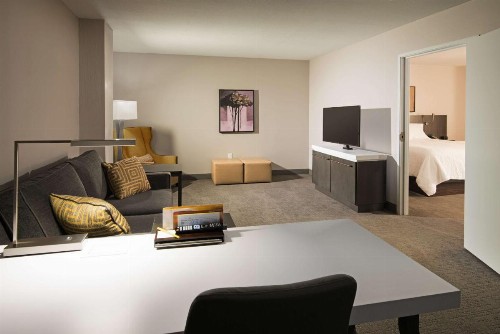 Hilton Garden Inn Las Colinas - image 31