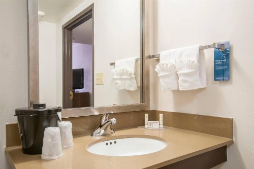 Fairfield Inn & Suites by Marriott Dallas DFW Airport South/Irving - image 13