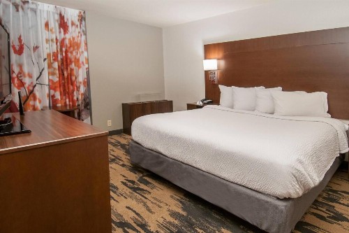Fairfield Inn & Suites by Marriott Dallas DFW Airport South/Irving - image 20