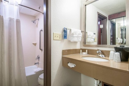 Fairfield Inn & Suites by Marriott Dallas DFW Airport South/Irving - image 7