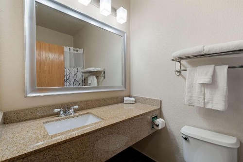 Best Western Plus DFW Airport Suites - image 13