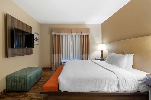 Best Western Plus DFW Airport Suites - image 17