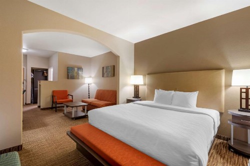 Best Western Plus DFW Airport Suites - image 23