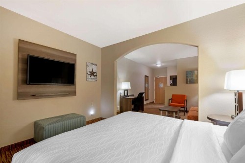 Best Western Plus DFW Airport Suites - image 27