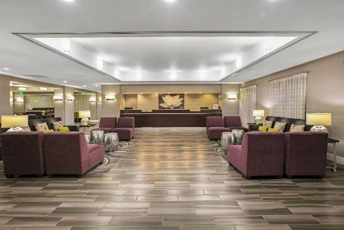 La Quinta by Wyndham DFW Airport South / Irving - image 15