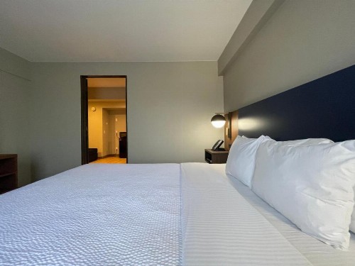 La Quinta by Wyndham Dallas DFW Airport North - image 12