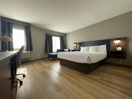 La Quinta by Wyndham Dallas DFW Airport North - image 13