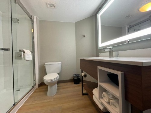 La Quinta by Wyndham Dallas DFW Airport North - image 39