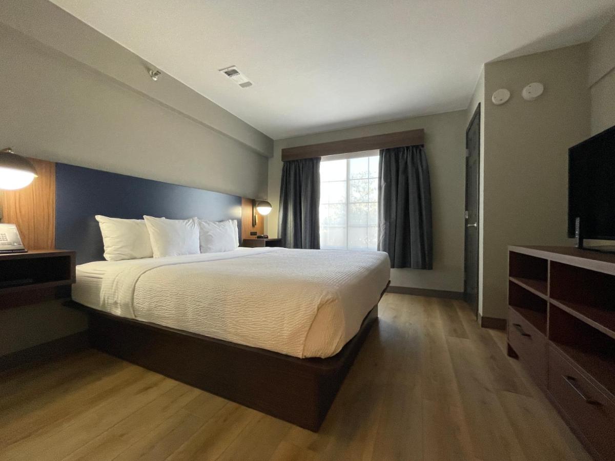 La Quinta by Wyndham Dallas DFW Airport North - image 5