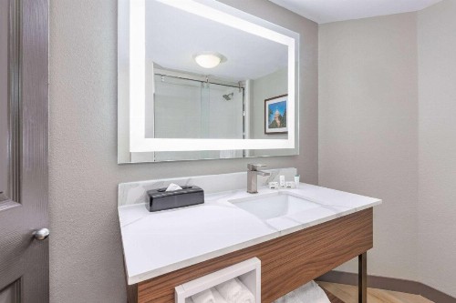 La Quinta by Wyndham Dallas DFW Airport North - image 50