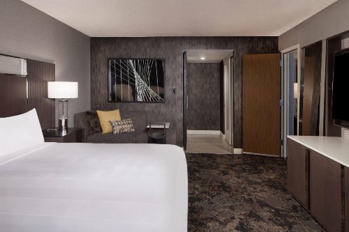 Dallas/Fort Worth Airport Marriott - image 26