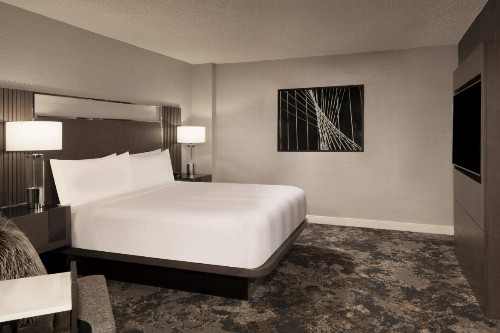 Dallas/Fort Worth Airport Marriott - image 29