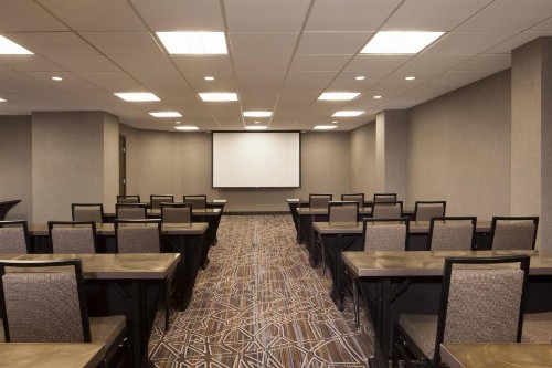 Dallas/Fort Worth Airport Marriott - image 31