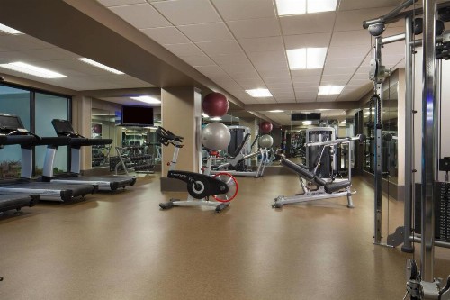 Dallas/Fort Worth Airport Marriott - image 39