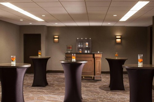 Dallas/Fort Worth Airport Marriott - image 50