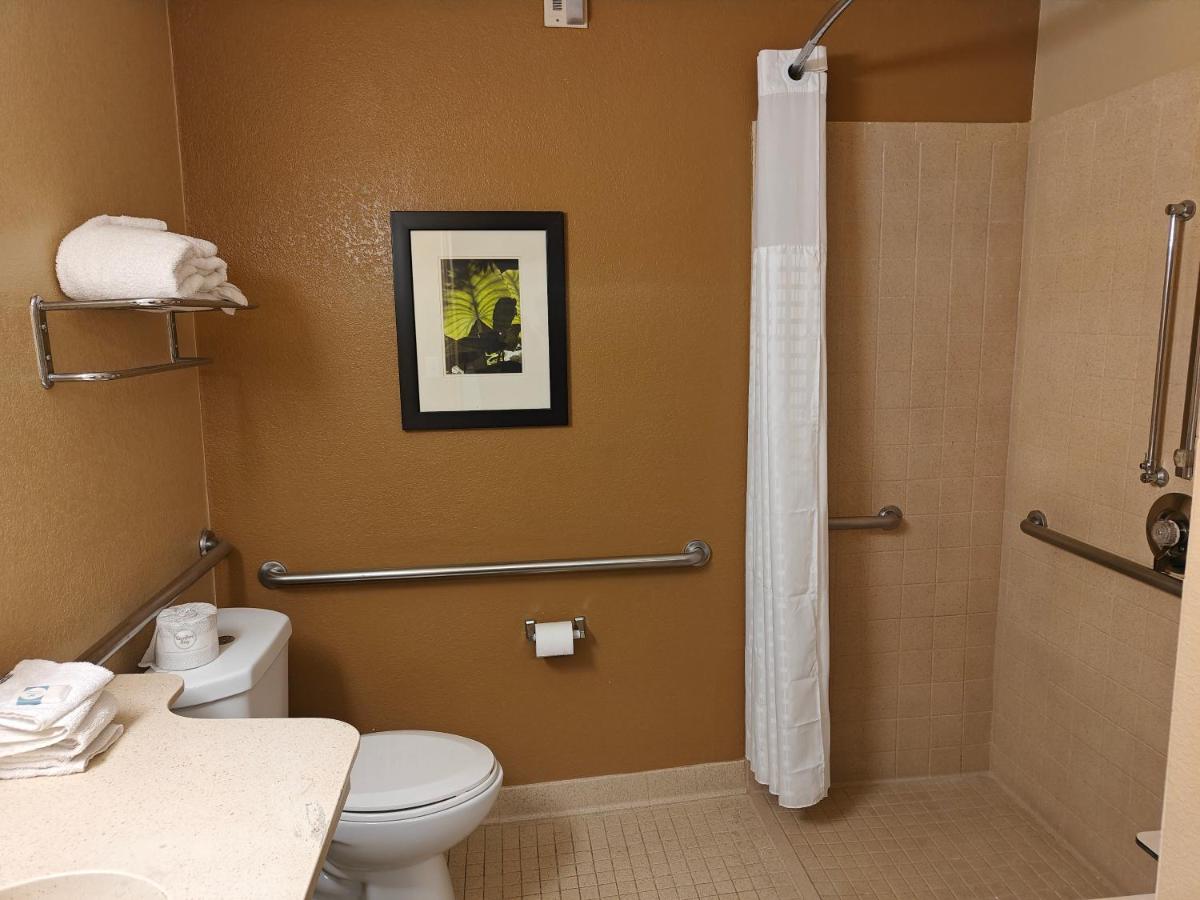 Extended Stay America Suites - Dallas - DFW Airport N - image 7