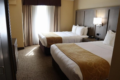 Comfort Suites DFW Airport - image 2