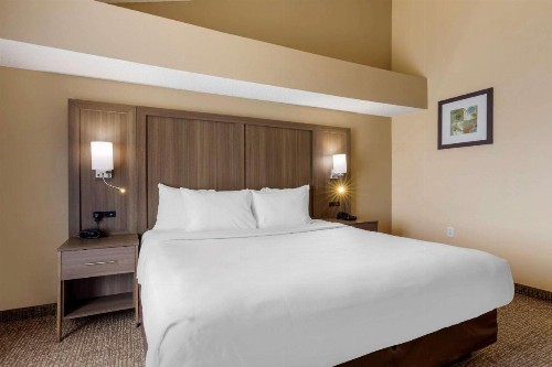 Comfort Suites DFW Airport - image 3