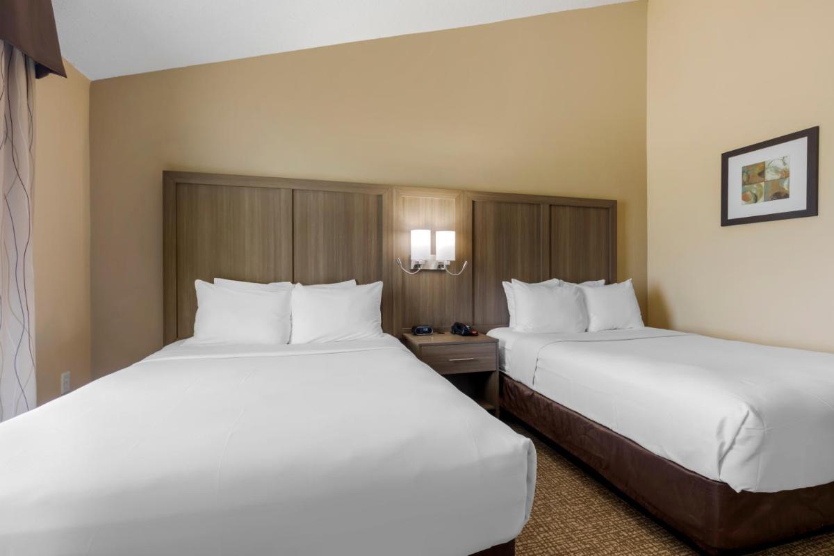 Comfort Suites DFW Airport - image 6