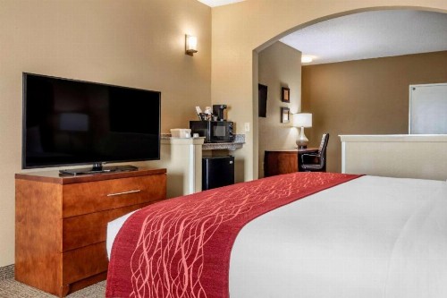 Comfort Inn DFW Airport North - image 11