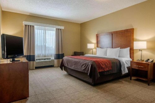 Comfort Inn DFW Airport North - image 14