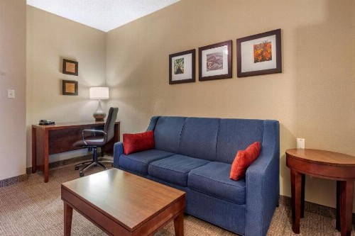 Comfort Inn DFW Airport North - image 16