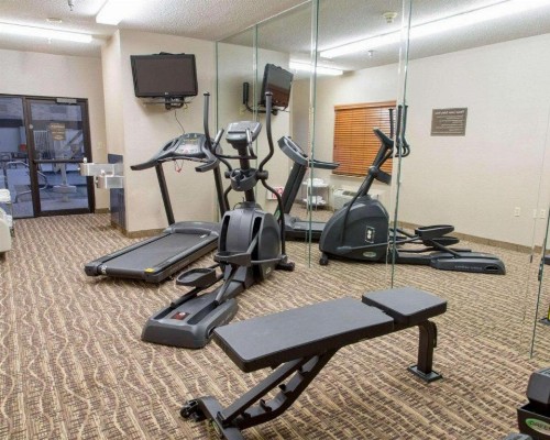 Comfort Inn DFW Airport North - image 2