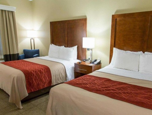 Comfort Inn DFW Airport North - image 19