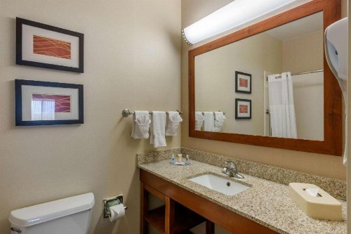 Comfort Inn DFW Airport North - image 20