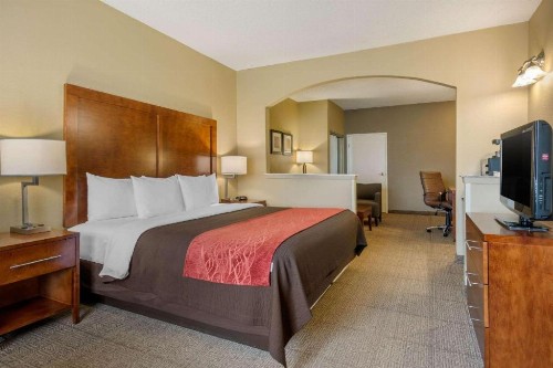 Comfort Inn DFW Airport North - image 22