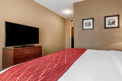 Comfort Inn DFW Airport North - image 23