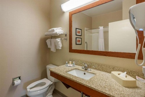 Comfort Inn DFW Airport North - image 25