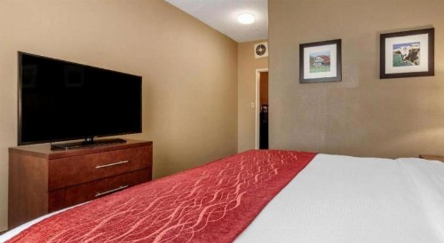 Comfort Inn DFW Airport North - image 30