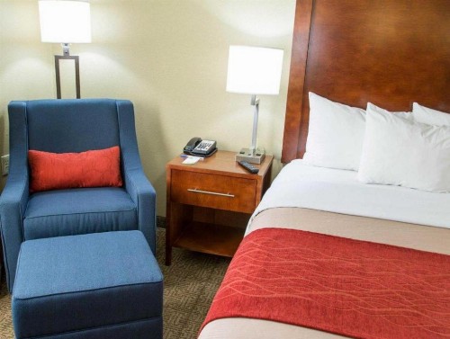 Comfort Inn DFW Airport North - image 33