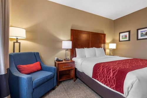 Comfort Inn DFW Airport North - image 38