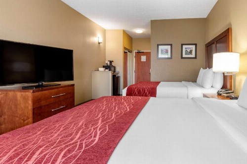 Comfort Inn DFW Airport North - image 39